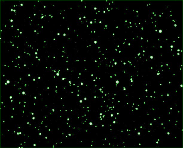 Count Number of Dots in an Image With OpenCV
